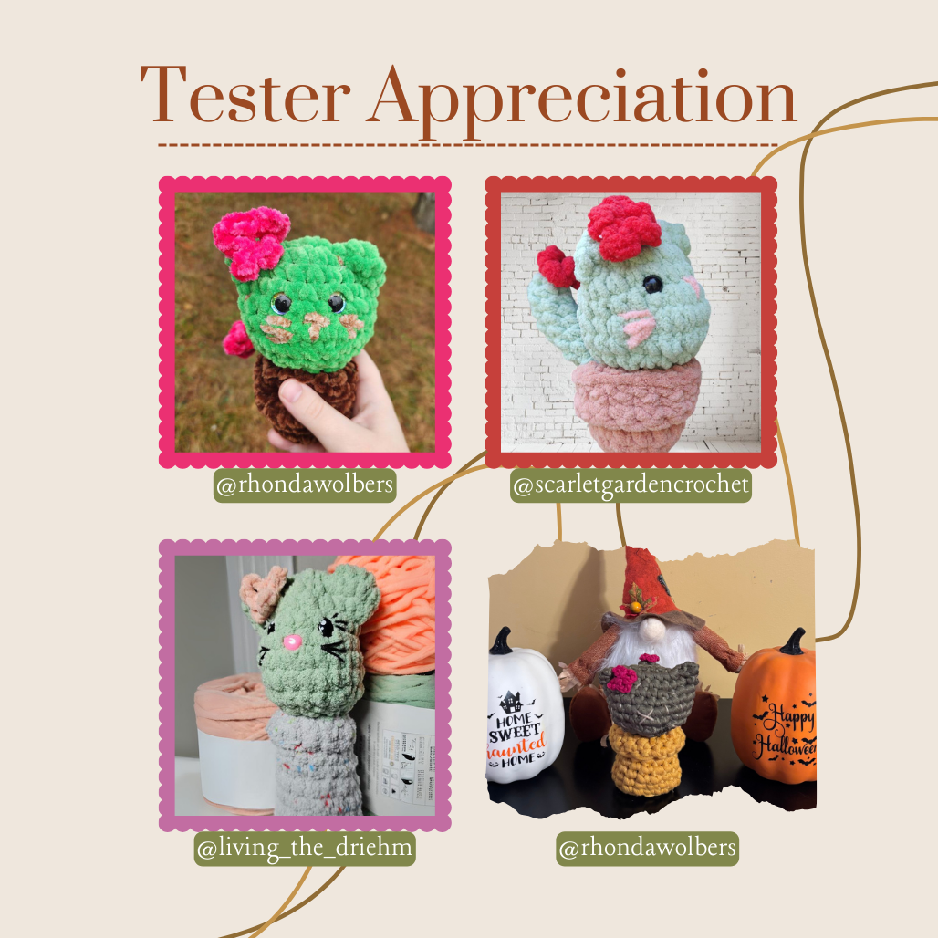 Cat-cus Plant Crochet (Pattern Only)