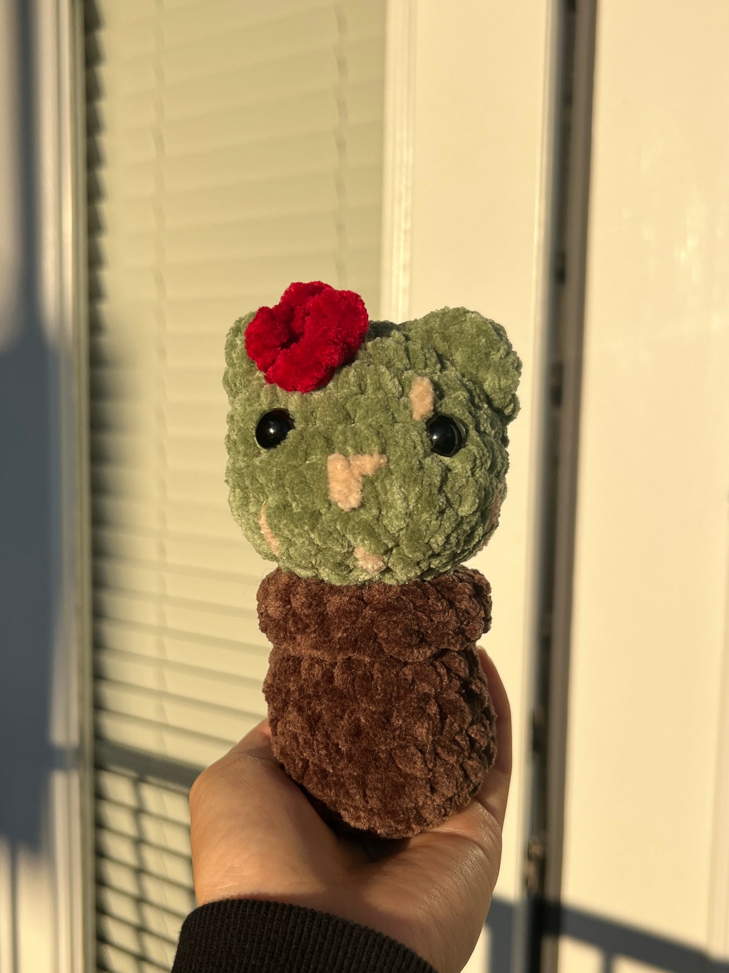 Cat-cus Plant Crochet (Pattern Only)