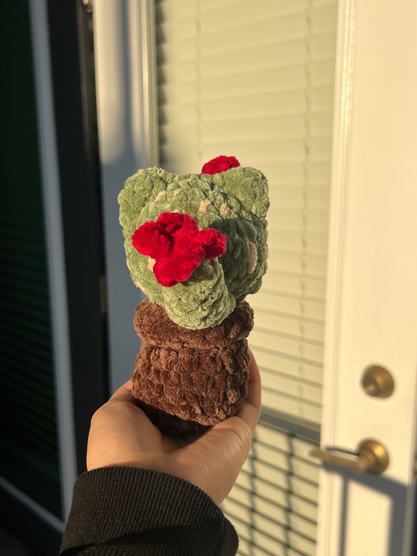 Cat-cus Plant Crochet (Pattern Only)